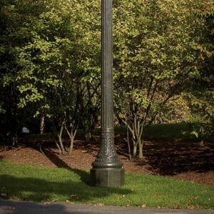 A K134 York fixture atop a California pole.