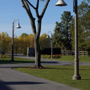 A K828 Moderne Sr. fixture accompanied by a Bishop Crook style arm on top of a Canterbury pole.