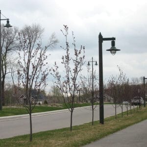 A K206 Marina accompanied by a light bracket arm on top of a Square Tapered pole.