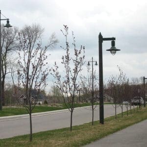 K206 Marina - Square Tapered A K206 Marina accompanied by a light bracket arm on top of a Square Tapered pole.