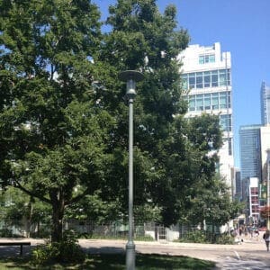 A K551 Eclipse fixture atop a Canterbury pole.
