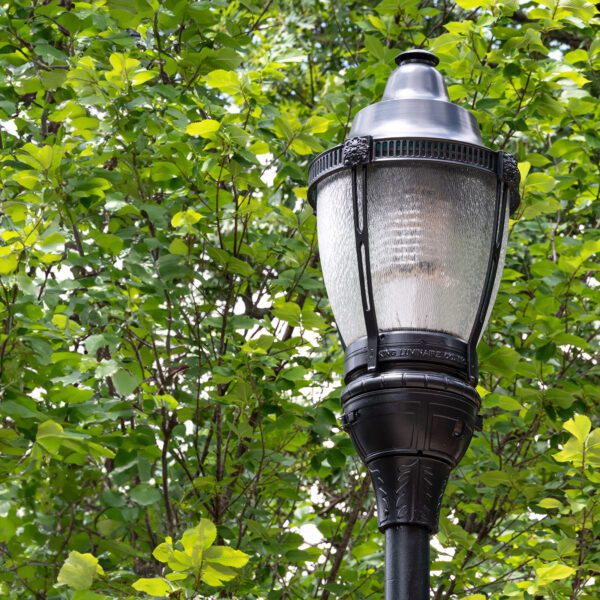 A K124 Paragon fixture atop a metal pole. This project is in Chattanooga, Tennessee and surrounded by greenery.