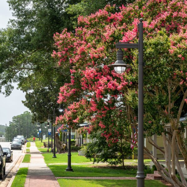 A K206 Marina pendent accompanied by a KA51 Marina 1 styled arm all on a metal pole. This project is located in a suburban neighborhood in Flowery Branch, Georgia.